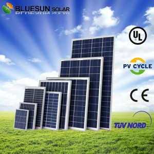 Buesun High Effiency Poly Sunshine Solar Modules PV Panel