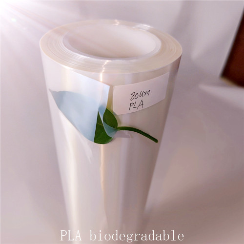 Hoja de PLA bioplástica Clare película biodegradable ecológica