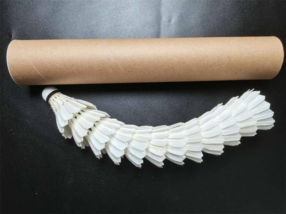 Indoor Sports Training Duck Feather Badminton