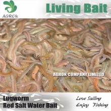 Fresh Live Blood Worm Fishing Bait Green worm