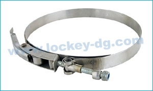 Buckle Type Clamp