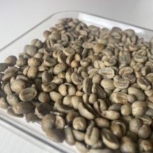 Sarchimor Chocolate Flavor Coffee Beans