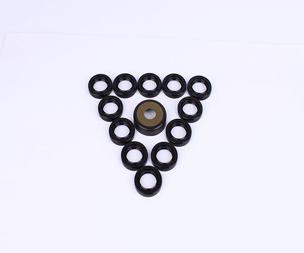 Motorcycle Oil Seals