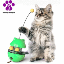 Tunnel and Ball Cat Toy