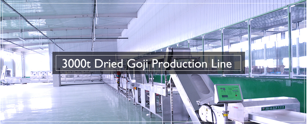 Dried Goji Berry production line