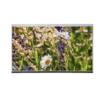 Ronen 500CD/M2 11.6inch LCD Display for LCD Notebook Screen