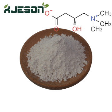 l carnitine/acetyl l carnitine