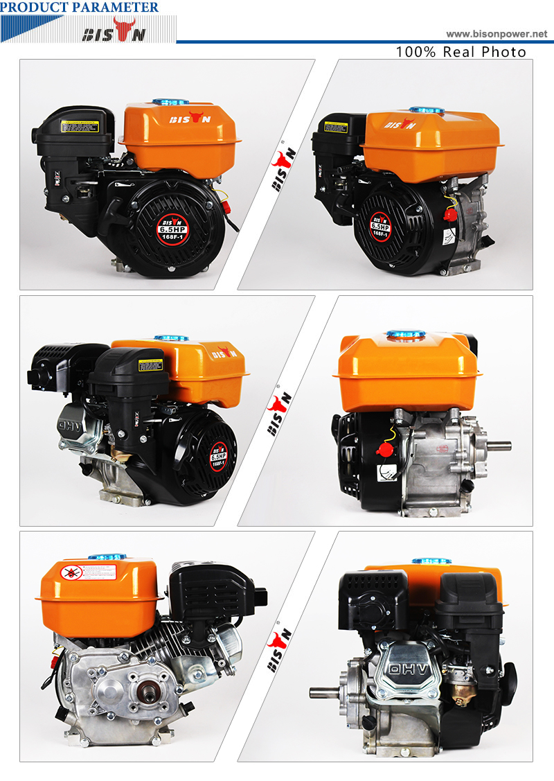 BISON BS168F-1 CHINA Gasoline Engine 6.5hp Petrol Engine For Pump