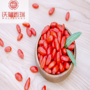 Goji berries can prevent visual degeneration