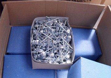 polished common iron wire nails/common polishing iron nails/common nail in box