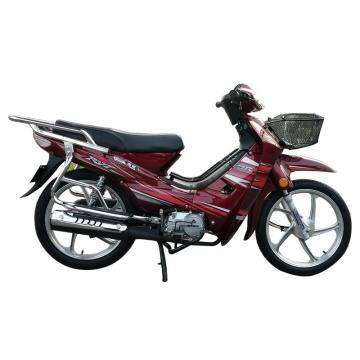 Roywell China 110cc Gasoline Cub Motorcycle: Curved Girder Moped Bike