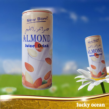 Almond Drink Protein Beverage 240ml/tin