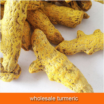 wholesale turmeric buyers