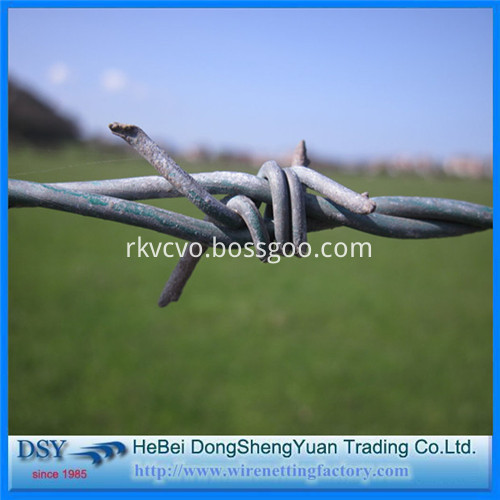 Barbed Iron Wire