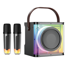 2024 Newest Wireless Mini Karaoke Speaker and Microphone