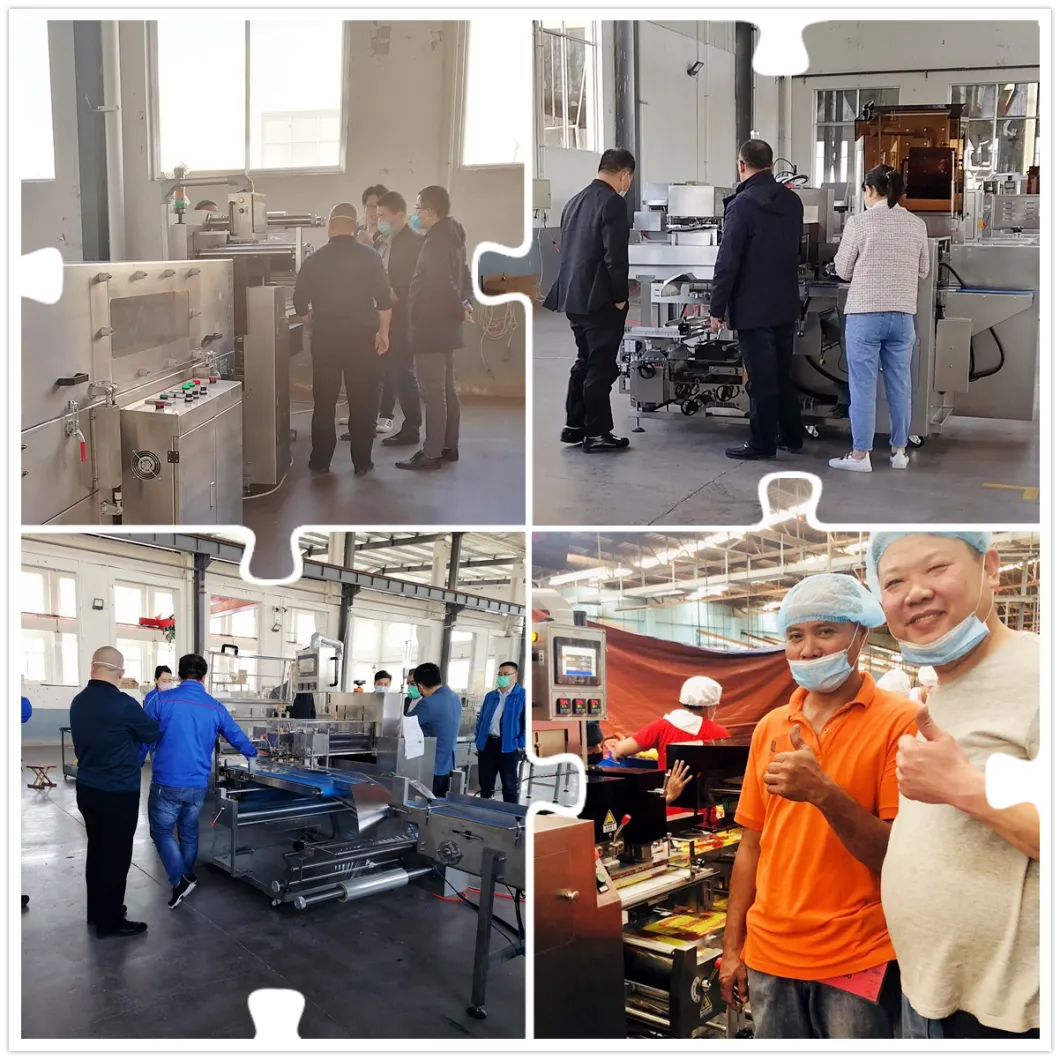 Qingdao Bostar Fresh Fruit Coconut Multi-Function Automatic Horizontal Servo Heat Shrinkable Film Shrink Wrapping Packing Machine with Tunnel