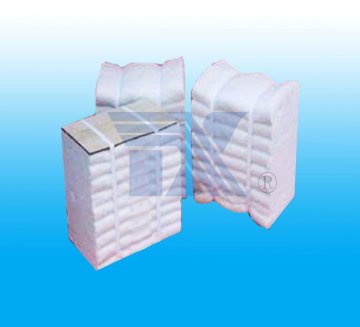 ceramic fiber module