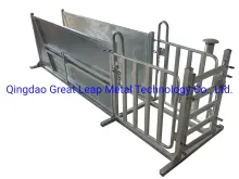 Sheep Race Sheep V Race Adjustable Race Livestock Race Farm