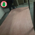 915-2135 mm  Bingtangor CC plywood