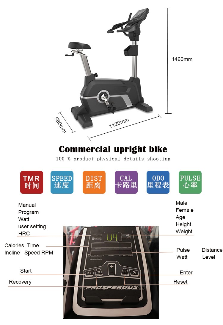 commercial upright bike