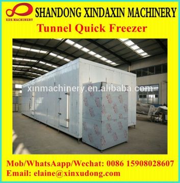 High quality vegetable freezer for sale