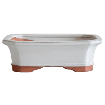Bonsai pots White Glazed Ceramic Bonsai Pots