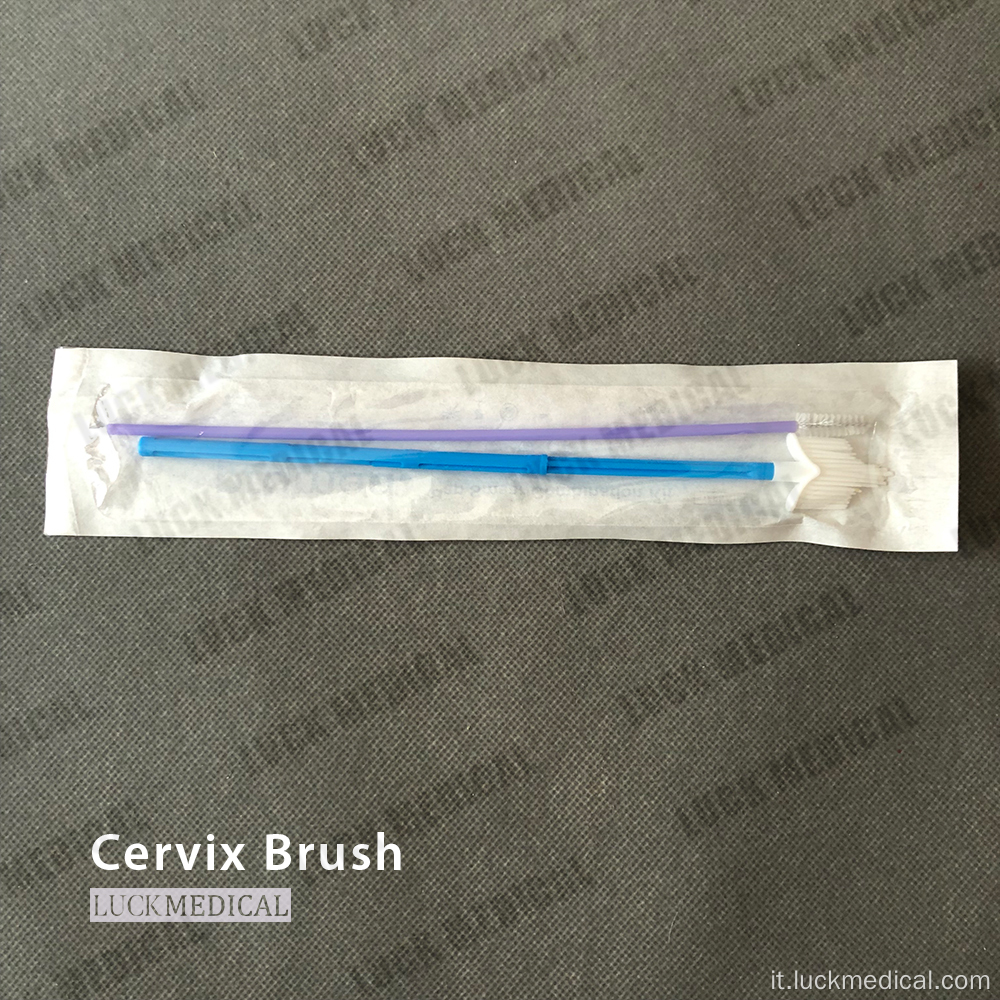 Spazzola cervicale sterile cytobrush pap striscia