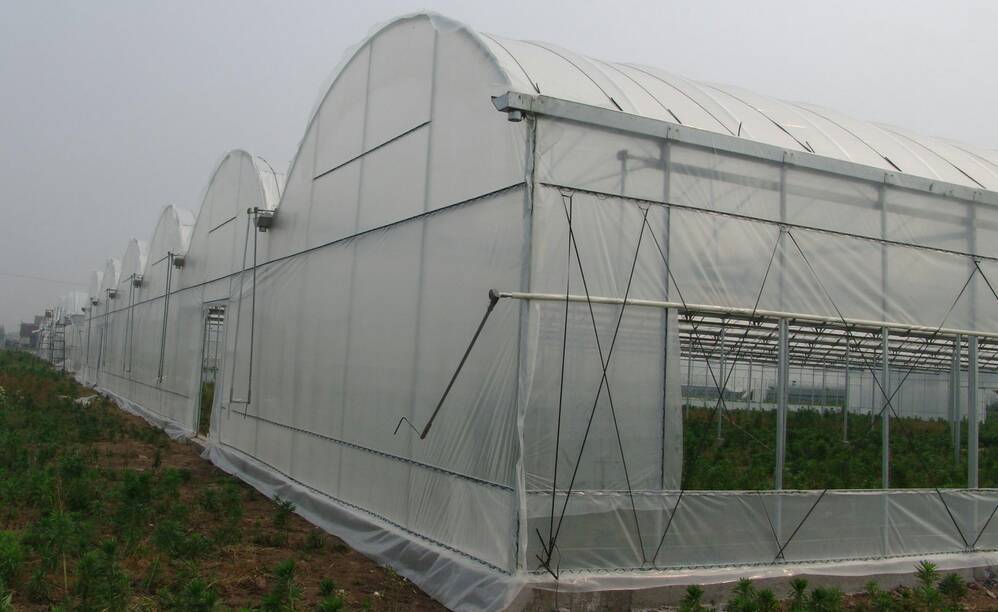 greenhouse