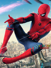 Marvel Universe Spider Man Cosplay Costume