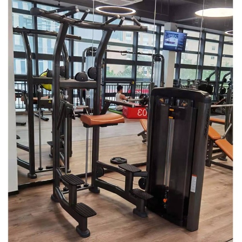 Commercial Gym Dip/Chin Assist Fitness Exercise Machines