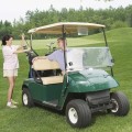 2 seats electric golf cart for golf courses