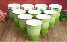 6oz pla coating paper cup xiamen factory