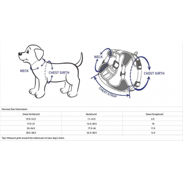 Cablaggio per cani a banda multicolore