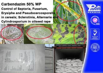 CARENDAZIM 50% WP Plant Fungicide Control Of Septoria , Fus