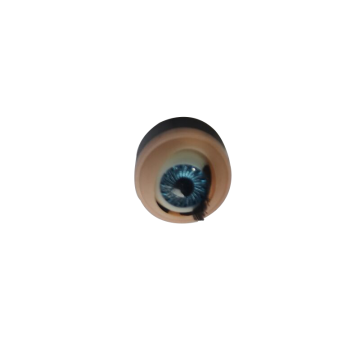 Realistic Plastic Doll Eyes for Newborn/Reborn Baby Dolls - Fashion Decoration