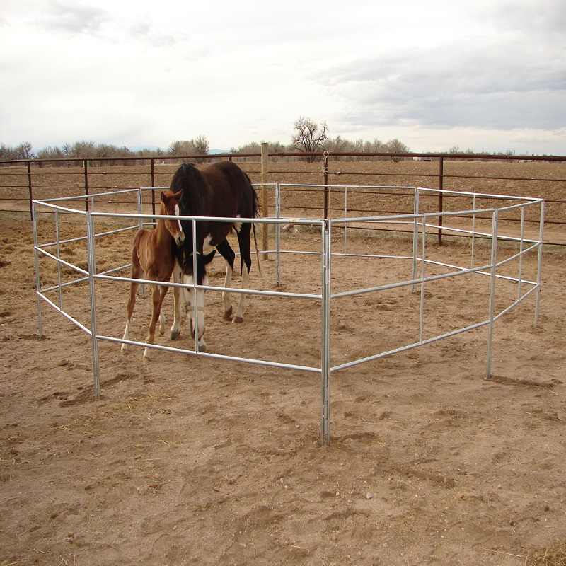 High Quality Powder Coated livestock Fence Panel