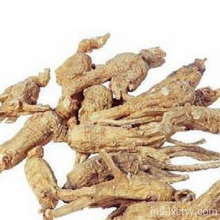 ginseng ekstrak teh kesihatan