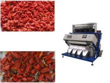 LED Colour Vegetable Onion Sorting Machine / Fruit Grading