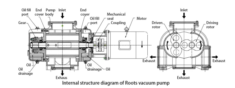 Roots Vacuum Pump