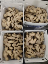 Dried ginger is on sale