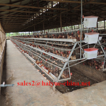 Nairobi Distributor 96 Birds 120 Birds 128 Birds 256 Birds Layer Chicken Cage System For Kenya Poultry Farm