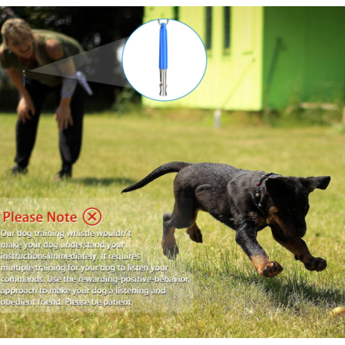 Hundetraining Pfeife mit Clicker