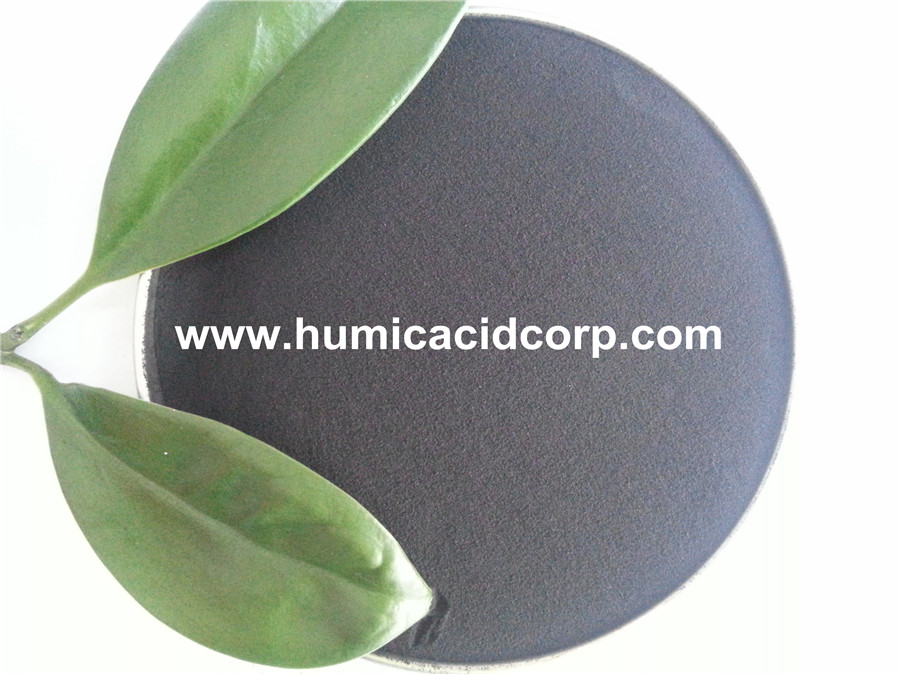 100 Soluble Potasium Humate 100 Soluble Potasium Humate