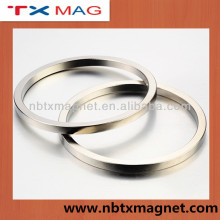 NdFeB Ring Magnet