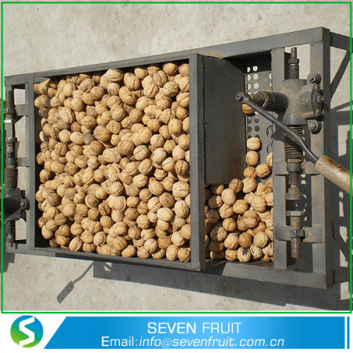 Bán buôn tự nhiên Walnut Unshelled Walnut trong vỏ bán