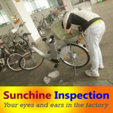 Inspection /Inspection Service / Quality Control Service / Quality Inspection Service / Well-Documented Report