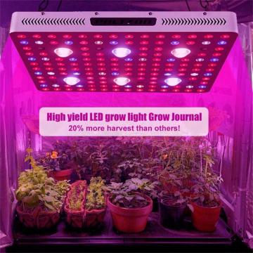 फुल स्पेक्ट्रम व्हाइट COB LED ग्रो लाइट 3000W