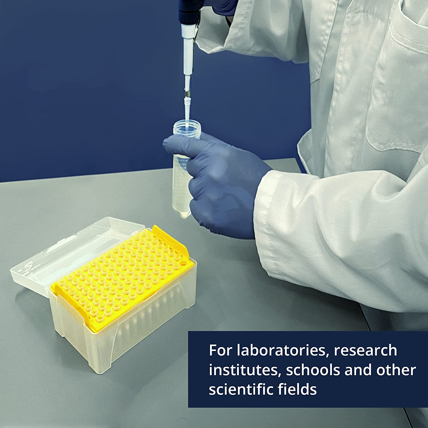 Lab Universal Dnase Rnase Free Pipette Tip Filter Tips 1000ul 200ul 10ul