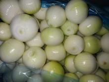 Fresh yellow peeled onion