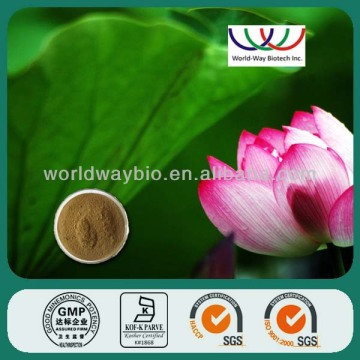 free sample herbal extraction lotus leaf extract folium nelumbinis extact